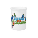 Save the Macaws Pitcher