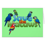 Save the Macaws Note Card