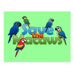 Save the Macaws Postcard