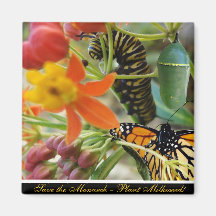 Save the Monarch Magnet