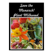 Save the Monarch Poster posters by Katerpillaf Save the Monarch Poster posters