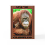 Save the Orangutans cards