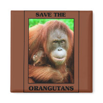 Save the Orangutans Refrigerator Magnets
