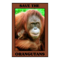 Save the Orangutans posters by One_Planet Save the Orangutans posters