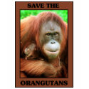 Save the Orangutans t-shirts by One_Planet Save the Orangutans t-shirts