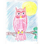 Save The Owls!