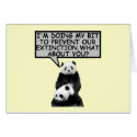 Save the Panda cards by Femfatal Save the Panda cards
