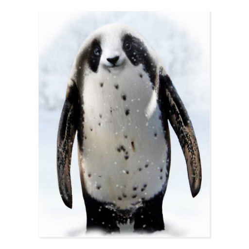Save the Panguin! Postcard