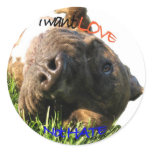 Save the Pit Bulls stickers