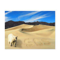 Save the Polar Bear postcards