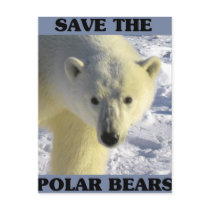 Save the Polar Bears Postcard