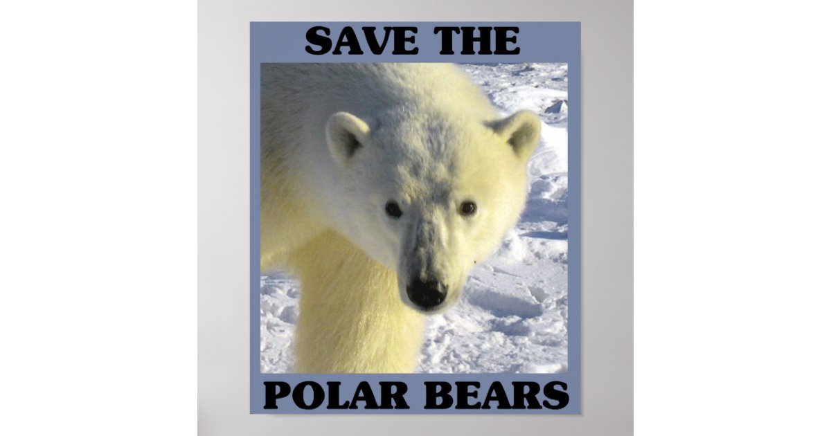 Save the Polar Bears Poster Zazzle