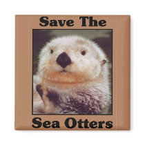 Save the Sea Otters Fridge Magnet