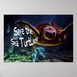 Save The Sea Turtles Posters, Save The Sea Turtles Prints, Art Prints ...