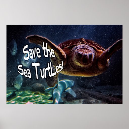 Save The Turtle Posters, Save The Turtle Prints, Art Prints, Poster Designs