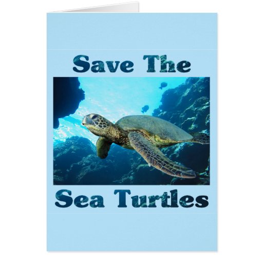 Save the Sea Turtles Card | Zazzle