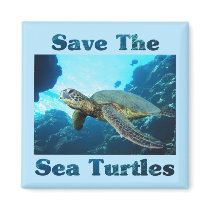Save the Sea Turtles magnets