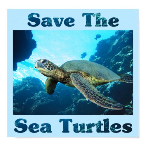 Save the Sea Turtles print