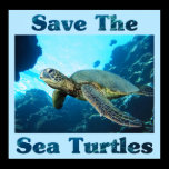 Save the Sea Turtles Poster