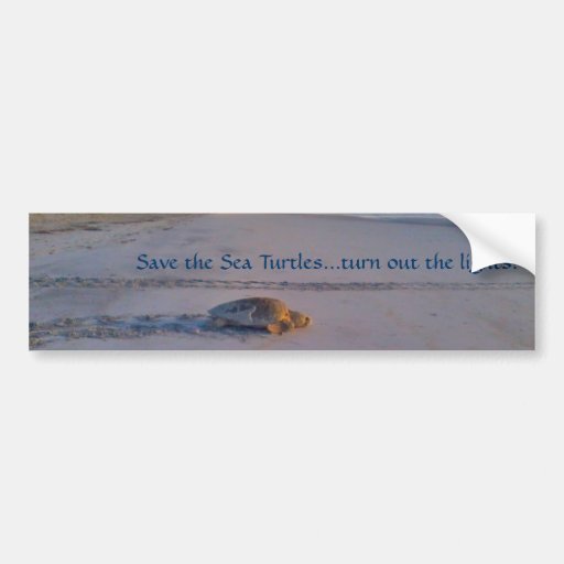 Save The Sea Turtlesturn Out The Lights Bumper Bumper Sticker Zazzle