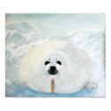 Save the Seals posters