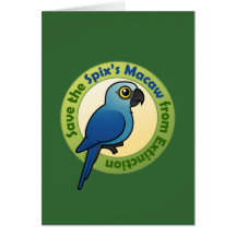 Save the Spix's Macaw from Extinction Greeting Cards