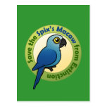 Save the Spix's Macaw from Extinction Post Cards