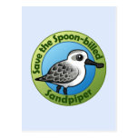 Save the Spoon-billed Sandpiper Postcard