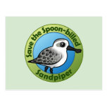 Save the Spoon-billed Sandpiper Postcard