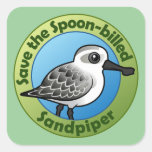 Save the Spoon-billed Sandpiper Square Sticker
