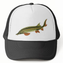 Save the Sturgeons! hats by feefye Save the Sturgeons! hats