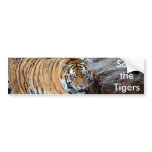 Save the Tigers Bumper Sticker
