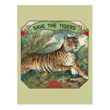 Save The Tigers Post Cards