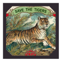 Save The Tigers posters