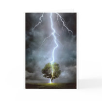 Save the trees!!Perfect idea's and gifts for all!! cards