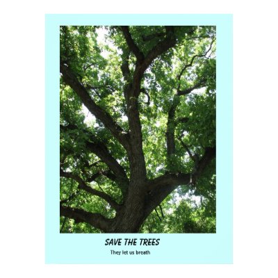 save the trees poster by