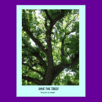 Save the Trees Poster posters