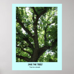 Save the Trees Poster