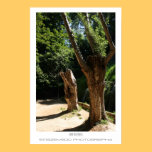 Save the trees Poster posters