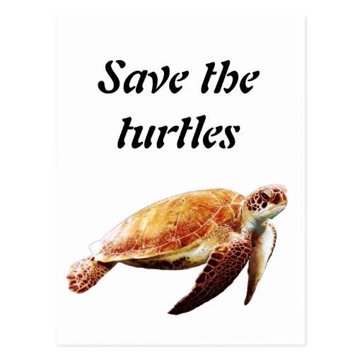 Save the turtles postcard | Zazzle