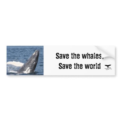 Whale Save