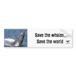 Save the whales, Save the world Bumper Stickers