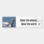 Save the whales, Save the world Bumper Stickers