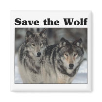 Save the Wolf Refrigerator Magnets