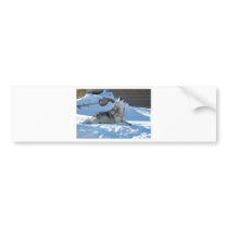Save The Wolves bumper stickers