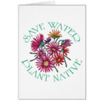 Save Water - Plant Native Greeting Cards
