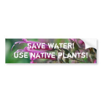 Save water! Use native plants - Bumper sticker bumper stickers