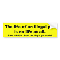Save wildlife bumper stickers bumper stickers by Rebecca_Reeder Save wildlife bumper stickers bumper stickers