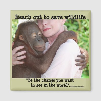 save wildlife quotes