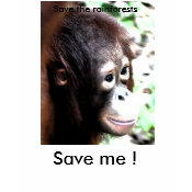 Save Wildlife T-shirt shirt